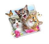 Kitty Cats Selfie 12" tall Wall Slaps Decal