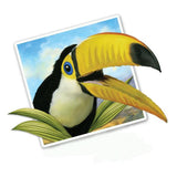Selfie Toucan 12" Wall Slaps Decal
