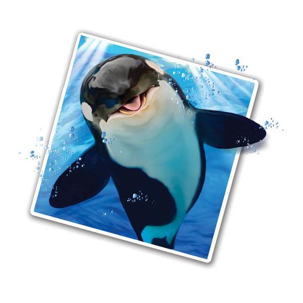 Whale Selfie 12" Wall Slaps Decal