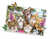 Kitty Cat Friends Selfie 12" tall Wall Slaps Decal