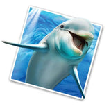 Dolphin Selfie 12" Wall Slaps Decal