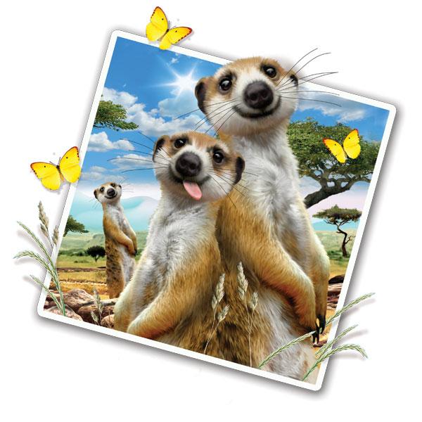 Meerkat Selfie 12" Wall Slaps Decal