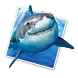 Selfie Shark 12" Wall Slaps Decal